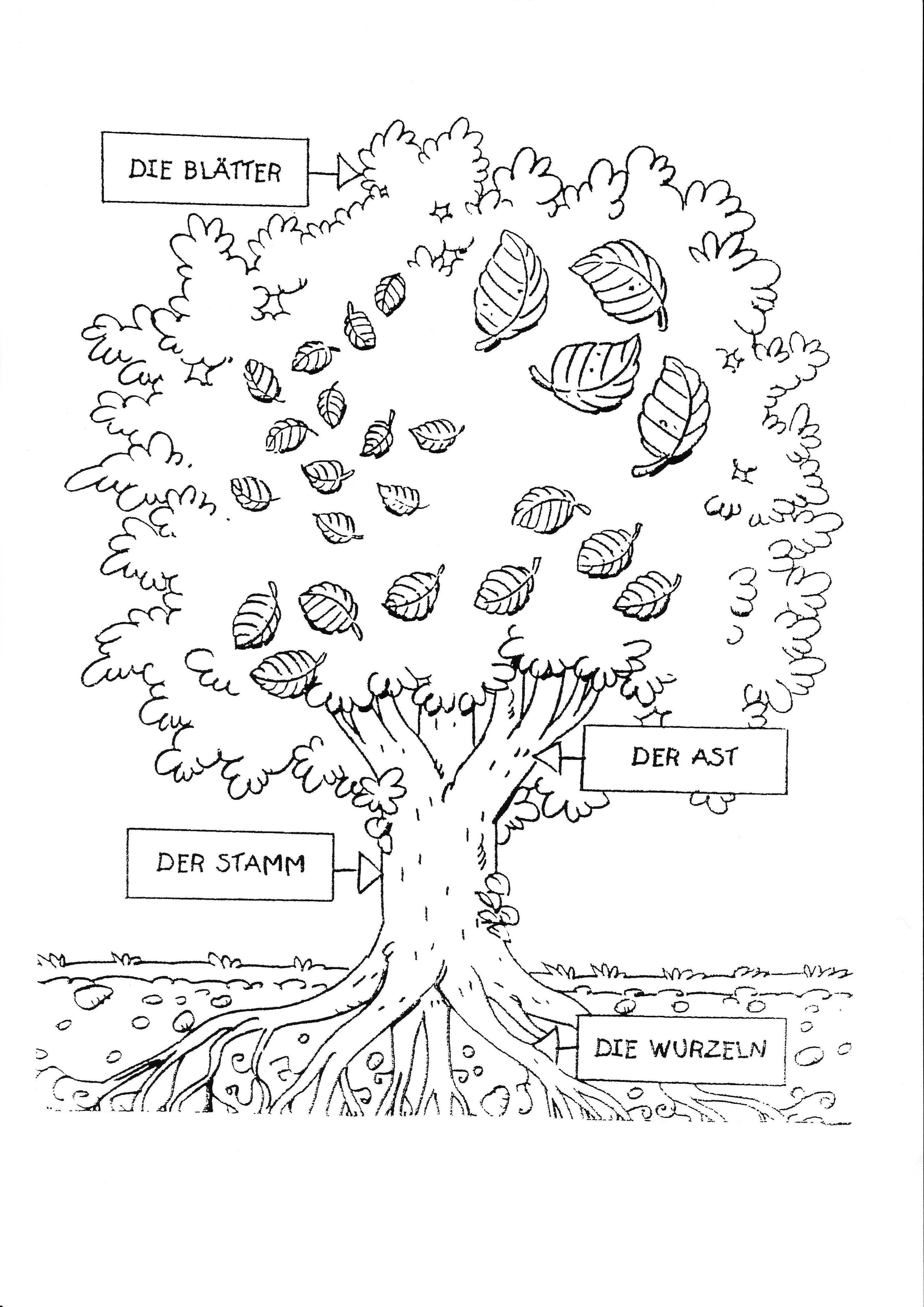 Pot à ustensiles - Eva Solo